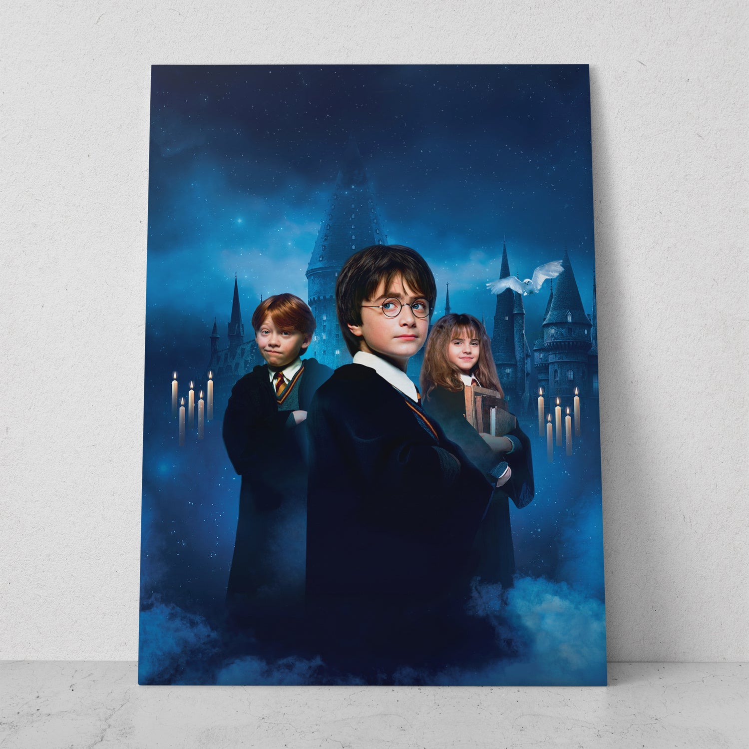 Quadro Harry Potter - Metal